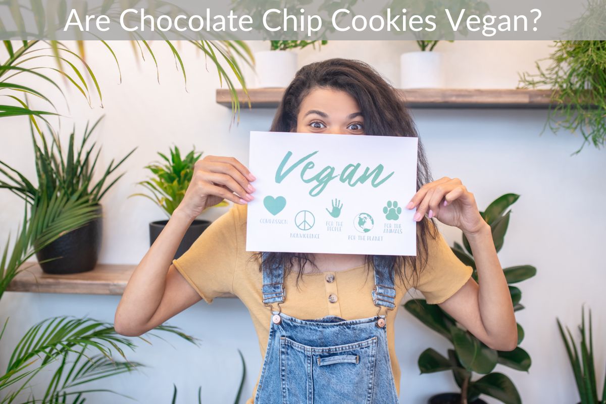 Are Chocolate Chip Cookies Vegan?