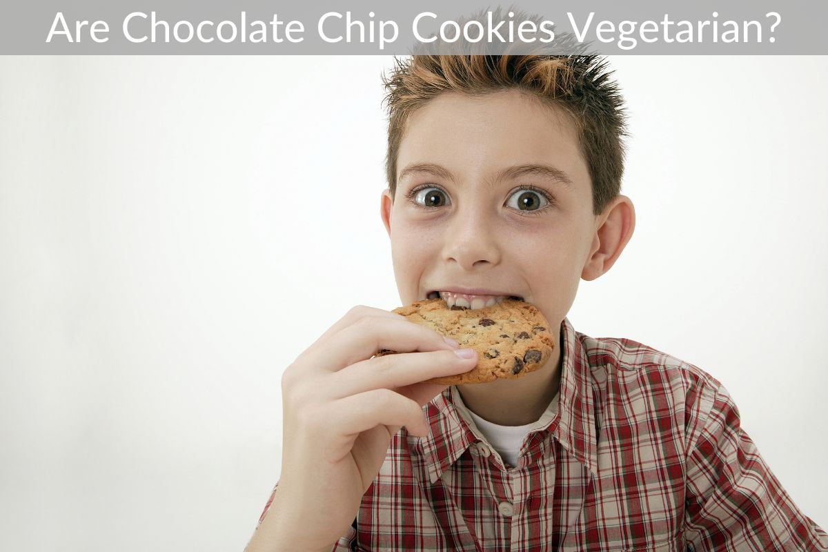 Are Chocolate Chip Cookies Vegetarian?