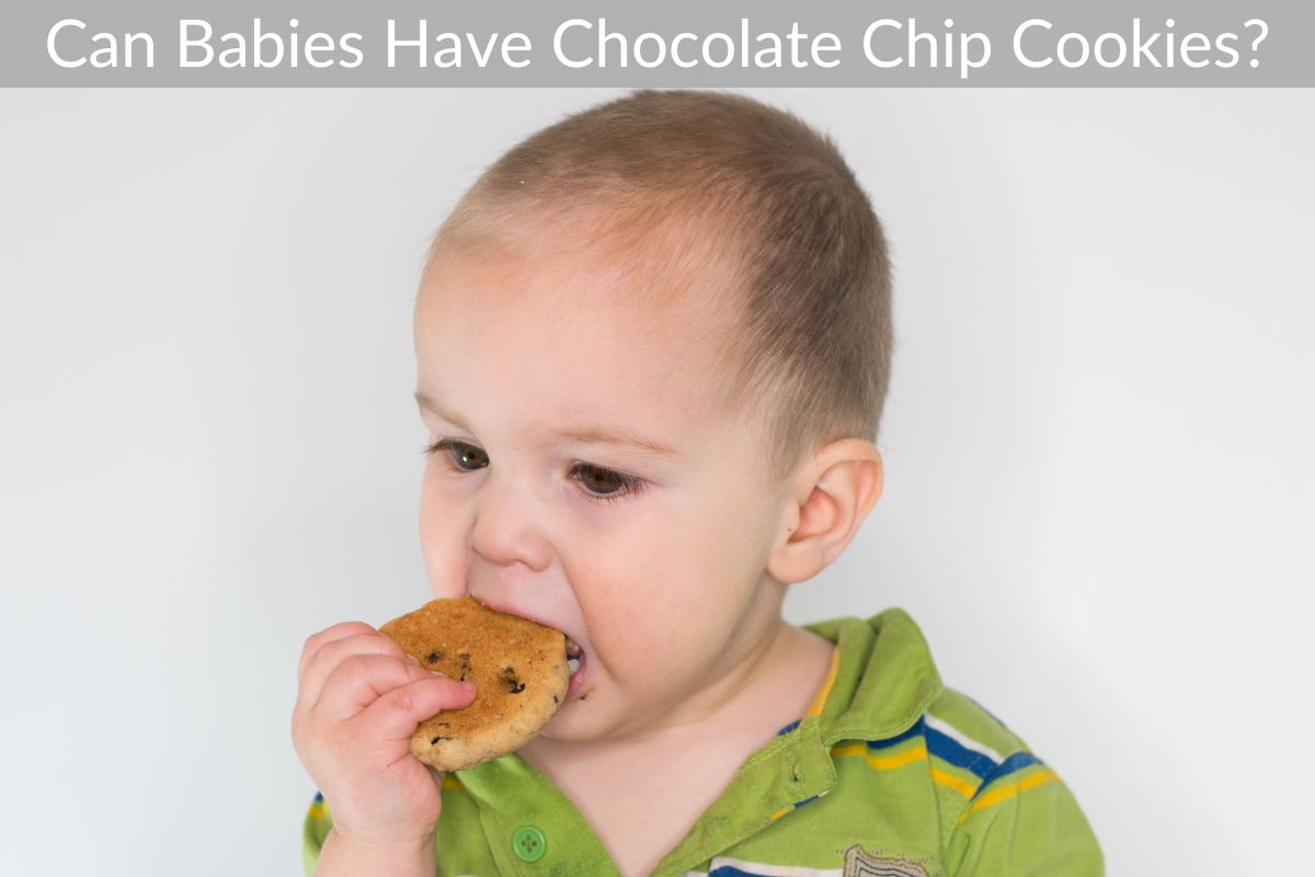 Can Babies Have Chocolate Chip Cookies?