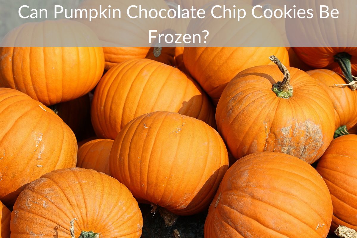 Can Pumpkin Chocolate Chip Cookies Be Frozen?