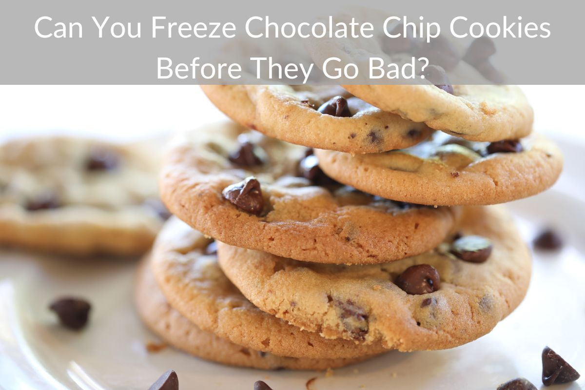 Can You Freeze Chocolate Chip Cookies Before They Go Bad?