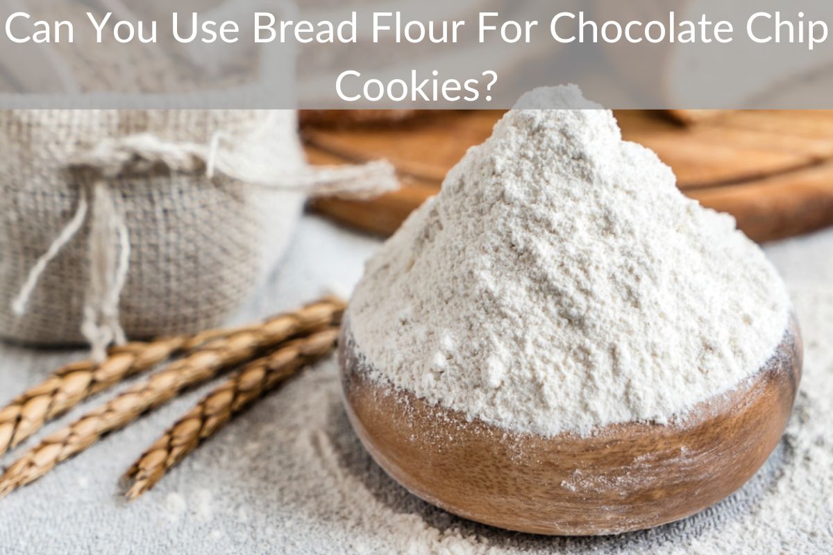Can You Use Bread Flour For Chocolate Chip Cookies?