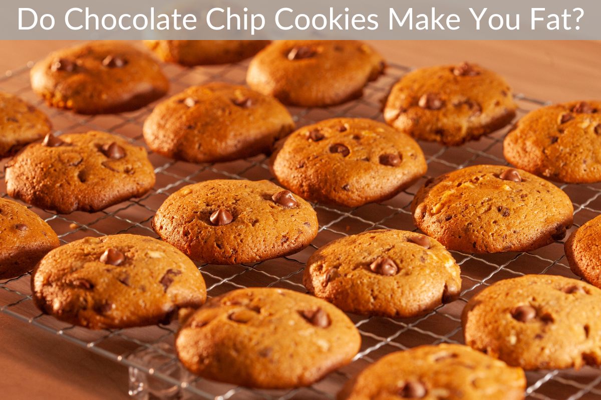Do Chocolate Chip Cookies Make You Fat?