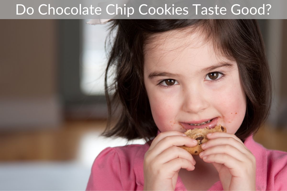 Do Chocolate Chip Cookies Taste Good?