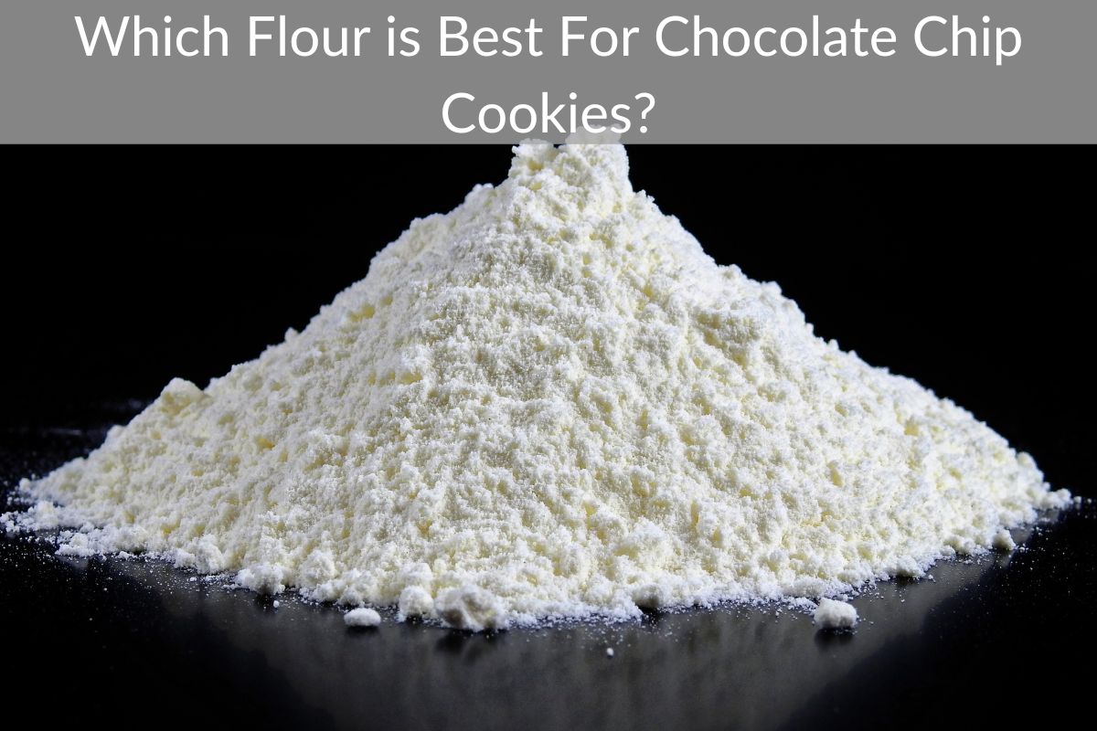 Which Flour is Best For Chocolate Chip Cookies?